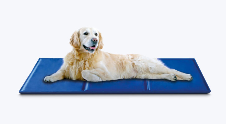 Widok psa leżącego na niebieskiej, dużej macie chłodzącej marki Pet Nova.