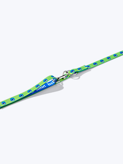 Smycz przepinana dla psa, w kolorze zielono-niebieskim, kolekcja hej, hau, hello!, marki John Dog.