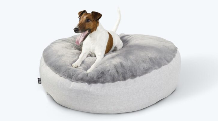 Foksterier na dużym, szarym, owalnym legowisku dla psa marki John Dog
