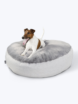 Foksterier na dużym, szarym, owalnym legowisku dla psa marki John Dog