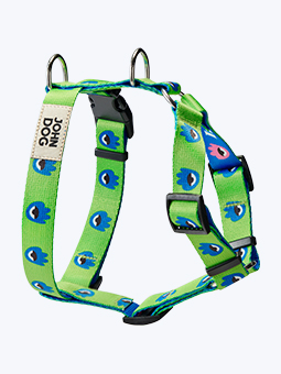 Szelki dla psa, rodzaj guard, taśma w kolorze zielono-niebieskim, z autorskim printem hej, hau, hello, marki John Dog.