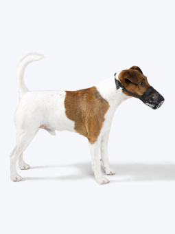 Foksterier w chroniącym kagańcu z siatki dla psa marki Trixie