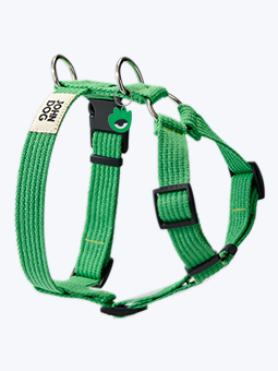 Zielone szelki typu guard dla psa z kolekcji John Dog Hej Hau Hello
