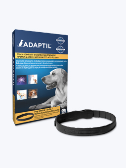 Obroża regulowana dla psa, redukująca objawy stresu u szczeniąt i dorosłych psów, rozmiar M-L dla średnich i dużych psów, marka Adaptil.