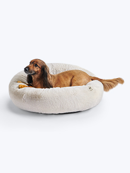 Pies w typie rasy cocker spaniel leży na legowisku oponce owalnym w kolorze beżowo-kremowym marki John Dog.