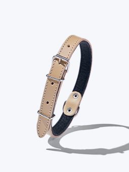 Skórzana obroża dla psa w kolorze beżowym, odcień cappuccino, marka John Dog, logo tłoczone i pokazane metalowe elementy i zapięcia.