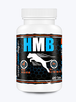 Suplement diety dla psa HBM 120 tabletek, widok plastikowego opakowania na białym tle od frontu, Game Dog, listing