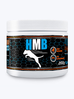 Suplement diety dla psa HBM 200g, widok plastikowego opakowania na białym tle od frontu, Game Dog, listing