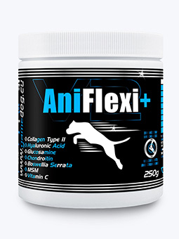 Suplement diety dla psa AniFlexi+ V2 250g widok plastikowego opakowania na białym tle od frontu, Game Dog, listing