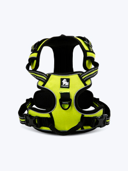 Szelki dla psa, w kolorze limonkowym, widok od przodu. Front Line, marka TruLove.