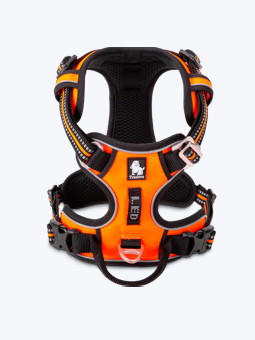 Szelki dla psa, w kolorze pomarańczowym, widok od przodu. Premium, marka TruLove.