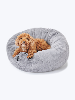 Legowisko typu oponka dla psa. Kolor jasno-szary. Widoczny leżący na nim pies rasy pudel toy. Marka John Dog.