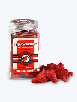 Liofilizowane przysmaki dla psa lub kota, truskawka, widok detalu, Kiwi Walker.