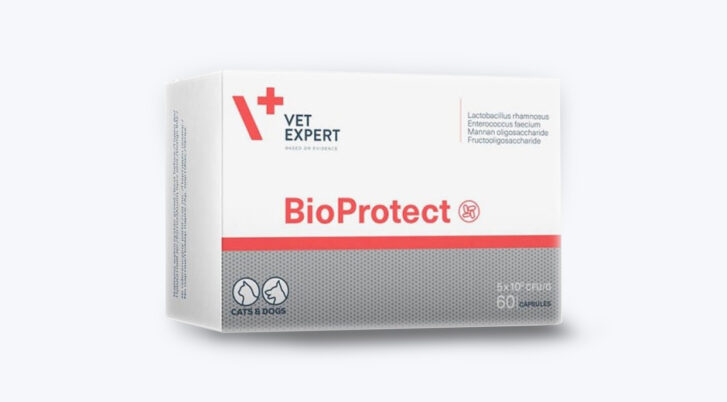 Probiotyk dla kota lub psa, Bioprotect, widok 60 kapsułek, Vetexpert.