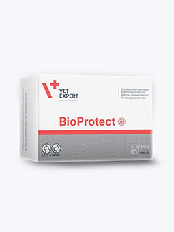Probiotyk dla psa lub kota, Bioprotect, widok 60 kapsułek, Vetexpert.