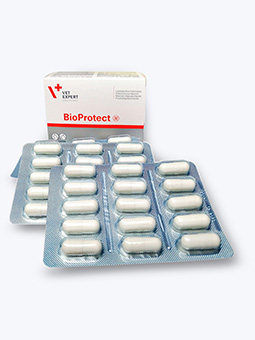 Probiotyk dla psa lub kota, Bioprotect, widok 60 kapsułek, Vetexpert.