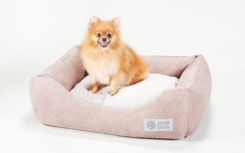 Pies rasy Szpic miniaturowy – Pomeranian siedzący w legowisku John Dog