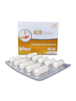 Blister z kapsułkami Vetfood professional Acid balance, ochrona przewodu pokarmowego, 30 kapsułek, dla psów.