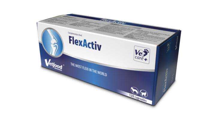 Vetfood professional FlexActiv, preparat wspierający stawy, 120 kapsułek, dla psów.