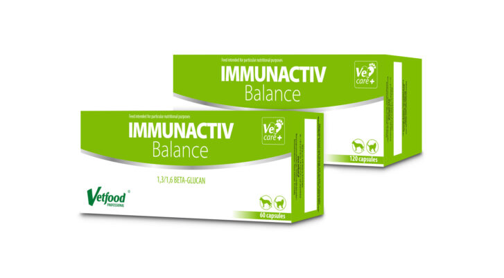 Vetfood professional Immunactiv Balance, preparat wspierający odporność, dla psów, 60 kapsułek.