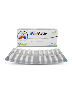 Blister z kapsułkami Vetfood VITActiv zestaw witamin i minerałów dla psa, 60 kapsułek.