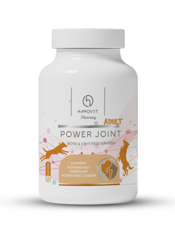 Opakowanie suplementu diety Power Joint Adult marki Hippovet Pharmacy. Opakowanie jest białe z kolorową etykietą, na której widnieją sylwetki psów oraz informacje o produkcie. Etykieta informuje, że suplement wspomaga prawidłowy rozwój kości i stawów, zawiera 50 tabletek i jest przeznaczony dla dorosłych psów.