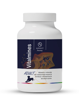 Witaminy Vitalmines Adult marki Hippovet Pharmacy. Opakowanie jest białe z ciemnogranatową etykietą, na której widnieją ikony symbolizujące różne witaminy oraz sylwetka dorosłego psa. Etykieta zawiera informacje o produkcie, wskazując, że jest to suplement witaminowy i mineralny wspierający kondycję i samopoczucie dorosłych psów.