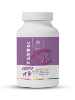 Opakowanie witamin Vitalmines Junior marki Hippovet Pharmacy. Pojemnik jest biały z fioletową etykietą, na której widnieją ikony symbolizujące różne witaminy oraz sylwetki młodych psów. Etykieta zawiera informacje o produkcie, wskazując, że jest to suplement witaminowy i mineralny wspierający kondycję i samopoczucie młodych psów.