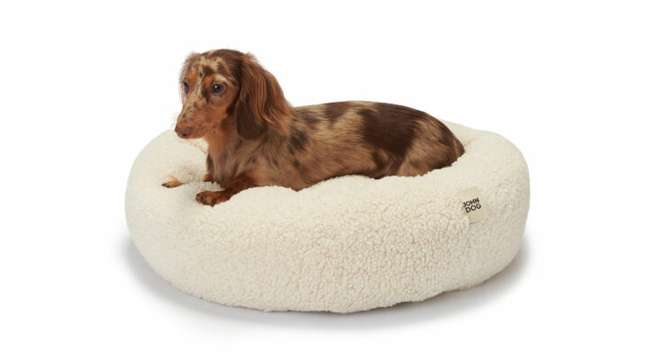Jamnik na okrągłym legowisku WOOLY od John Dog, które swoim miękkim, puszystym materiałem w kolorze ecru tworzy komfortową przestrzeń. Idealne dla psów ceniących wygodę i ciepło.