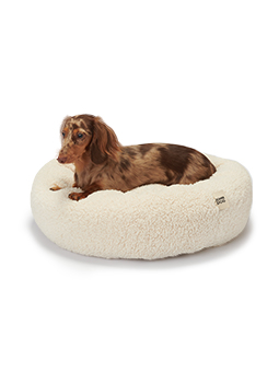 Mały jamnik spokojnie spoczywa na legowisku oponka WOOLY marki John Dog. Miękka, puchata tkanina w kolorze ecru otula psa, zapewniając mu przytulne i bezpieczne miejsce do odpoczynku.