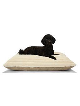 Na zdjęciu widać czarnego psa leżącego na dużej, miękkiej poduszce BLISS marki John Dog w kolorze kremowym. Legowisko oferuje komfort i wygodę dla zwierzaka.