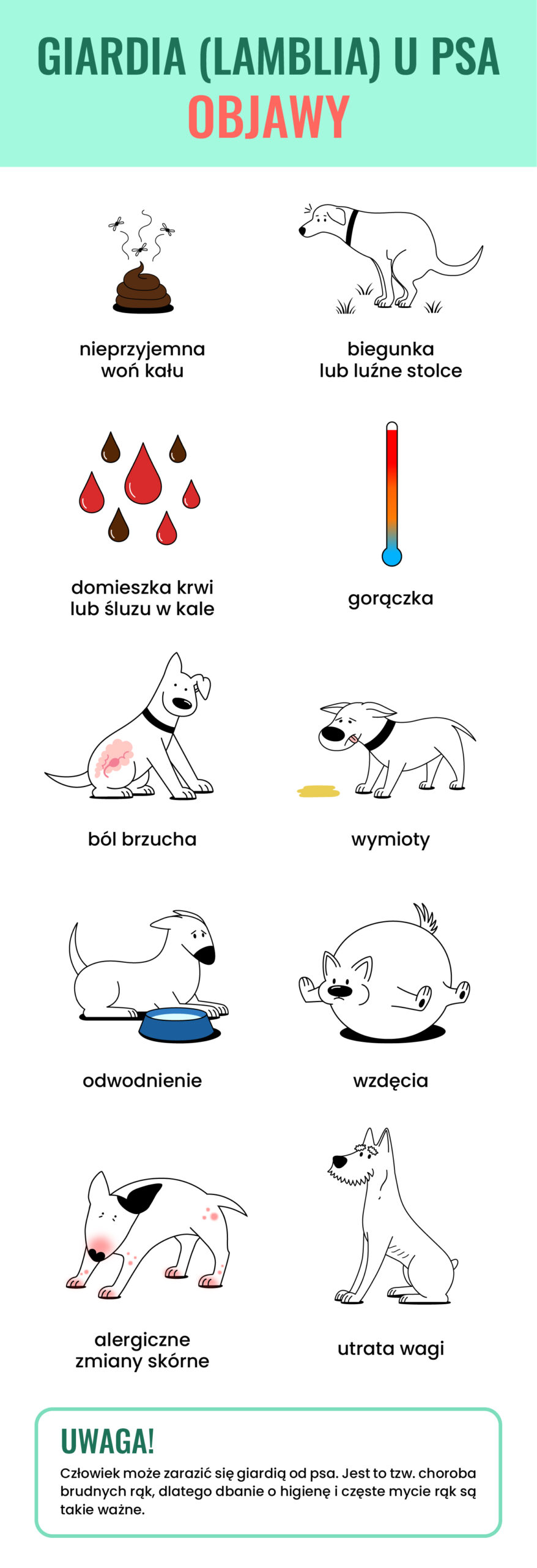 Grafika przedstawiająca objawy Giardii