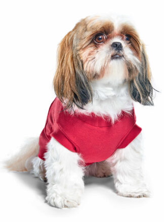 Bluza polarowa w kolorze czerwonym na psie rasy shih tzu, widok z przodu i lekko z boku. Ujęcie podkreśla miękkość materiału i wygodne dopasowanie.