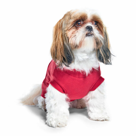 Bluza polarowa w kolorze czerwonym na psie rasy shih tzu, widok z przodu i lekko z boku. Ujęcie podkreśla miękkość materiału i wygodne dopasowanie.