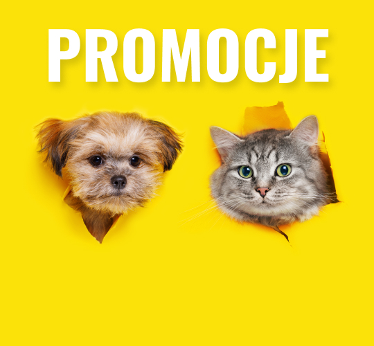 Na żółtym tle widać głowę psa i kota wyglądających przez dziury w papierze, nad nimi znajduje się napis "Promocje"