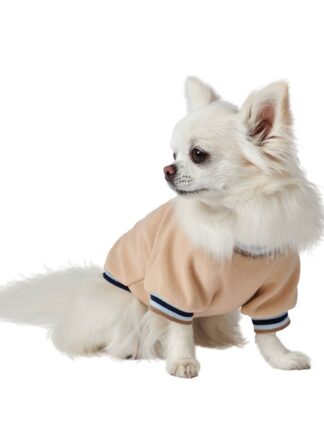 Bluza polarowa dla psa w kolorze jasnego beżu, wykończona kolorową lamówką i ściągaczem.