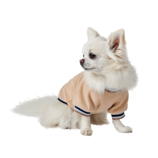 Bluza polarowa dla psa w kolorze jasnego beżu, wykończona kolorową lamówką i ściągaczem.