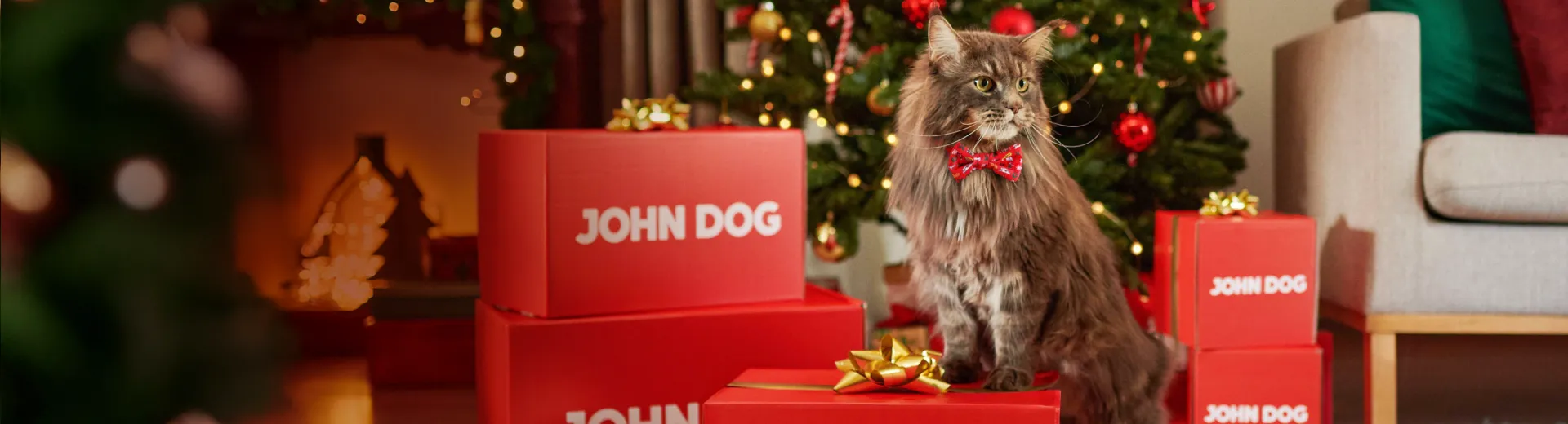 Świąteczny banner John Dog z kotem