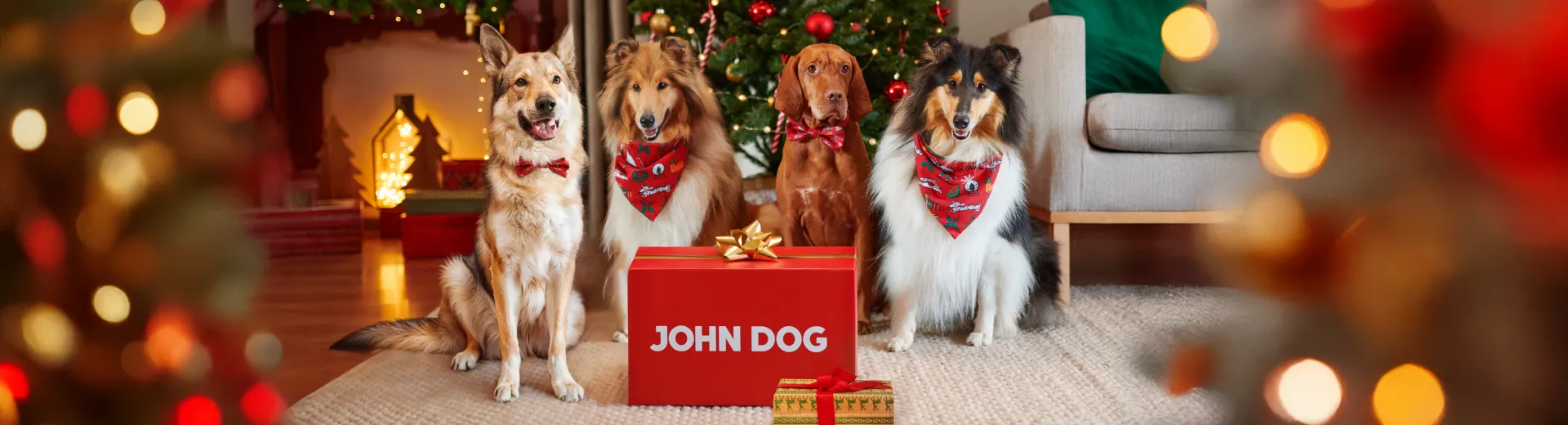 Świąteczny banner John Dog z psami