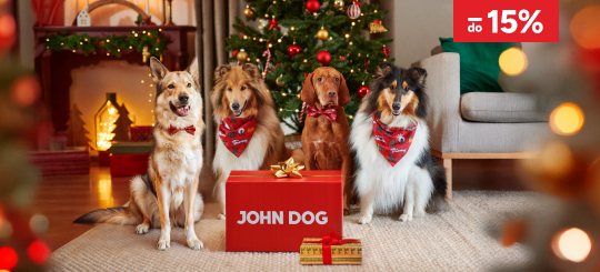 Cztery duże psy - ubrane na przemian w czerwona muszkę świąteczną i apaszkę świąteczną - siedzą na tle choinki. Przed nimi duży czerwony prezent i mały żółty.