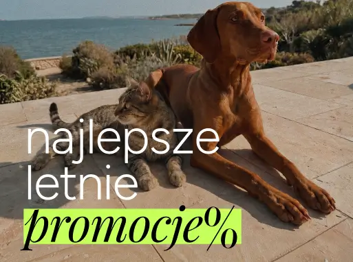 Grafika z napisem „Najlepsze letnie promocje”. Kot i pies odpoczywają obok siebie na tarasie z widokiem na morze.