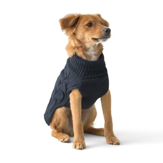 Rudy pies siedzący w granatowym sweterku John Dog z golfem i warkoczowym splotem, widok z przodu.